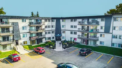 1B for Rent -