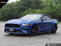 Welcome to 11 Motors. JUST IN! PRICED TO SELL --- CLEAN CARFAX NO ACCIDENTS - DEALER MAINTAINED 5.0L... (image 5)