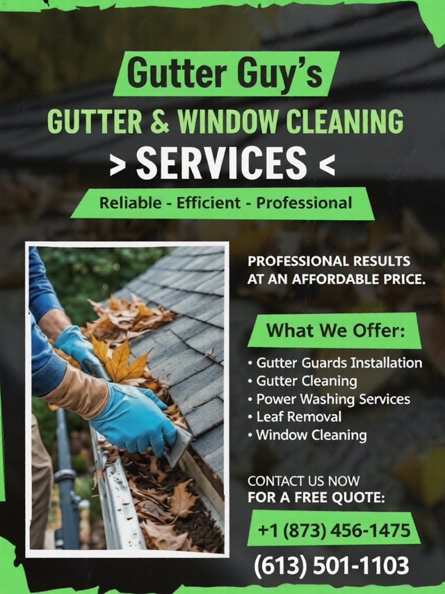 Gutter Guy's Gutter and Window cleaning424340072495196160