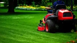 Affordable Grass Cutting & Lawn Maintenance632348055184651213