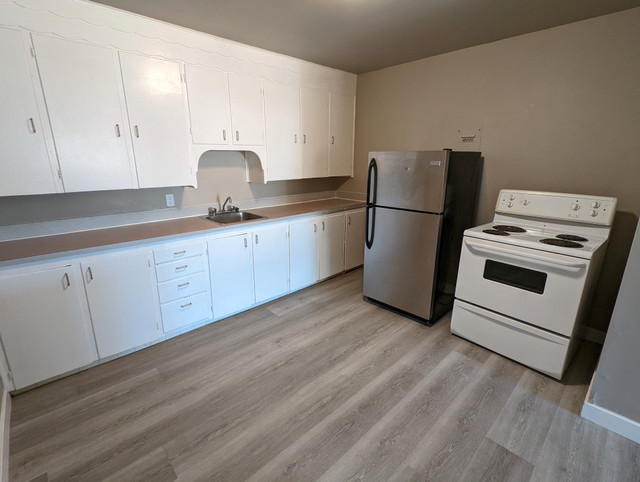 Rosemont Apartment For Rent | Grey Apartments in Long Term Rentals in Regina - Image 2