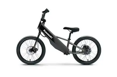 Price does not include applicable fees/gst. Engine Type: Direct hub motor Battery: Lithium-ion Charg...