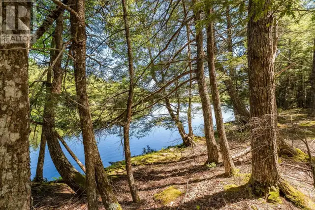 87 Edith's Point Road South Brookfield, Nova Scotia in Houses for Sale in Bridgewater - Image 40