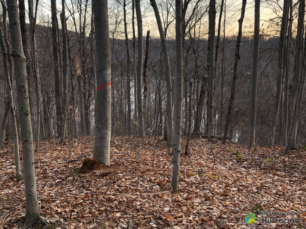 $579,000 - Price taxes not included - Residential Lot for sale — photo 3