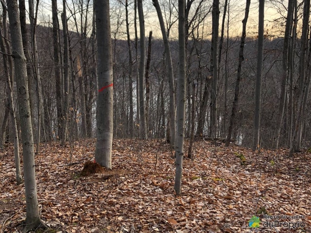 $579,000 - Price taxes not included - Residential Lot for sale — photo 3