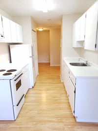 2 Bed 1 Bath - $1595 Bright Apartment