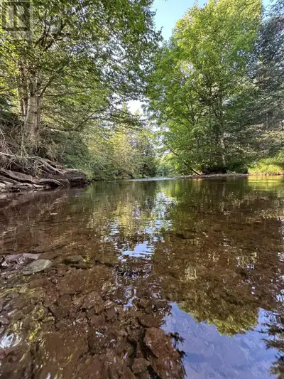 Introducing a serene and captivating 1.55 acre surveyed lot nestled on the banks of River Philip. Th...