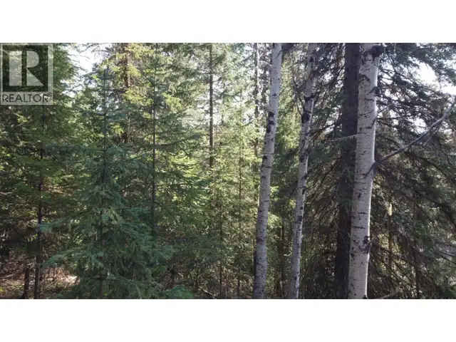 LOT B BRYCE ROAD Forest Grove, British Columbia in Land for Sale in 100 Mile House - Image 27