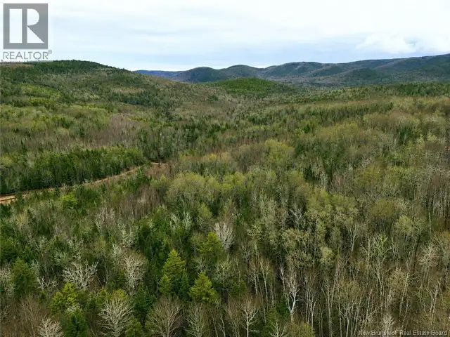 Lot Shaw Road Shenstone, New Brunswick in Land for Sale in Moncton - Image 3