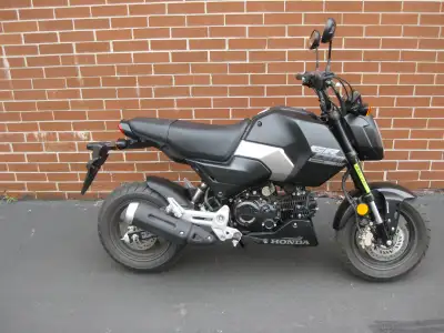 Welcome New Riders! Financing Options Available! 2025 Honda Grom 125: Big Personality in a Compact P...