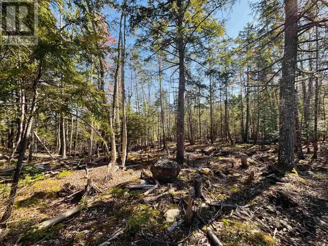 Lot 2 Oldham Road Enfield, Nova Scotia in Land for Sale in City of Halifax - Image 12
