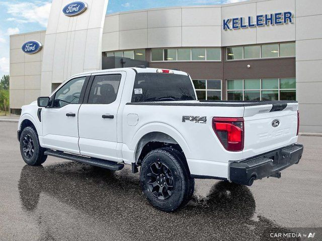 2025 Ford F-150 STX in Cars & Trucks in Brandon - Image 3