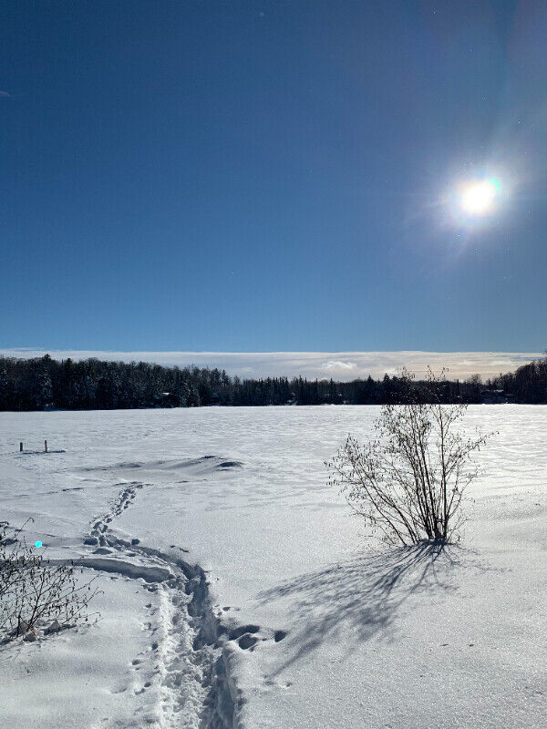 Terrain avec accès à deux lacs, Morin-Heights — photo 2