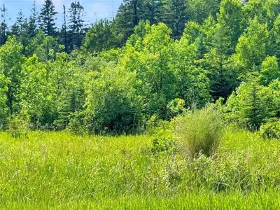 R26//Gimli Rm/Discover an exceptional opportunity with this unique pie-shaped 6.92-acre vacant lot,...