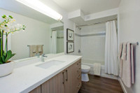 Live well at Main Square Apartments; perfectly located at Danforth and Main, surrounded by convenien... (image 7)