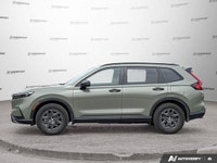 Crowfoot Hyundai, AMVIC Licensed Dealer Mileage: 3,137 km History: No accidents, One Owner Experienc... (image 1)