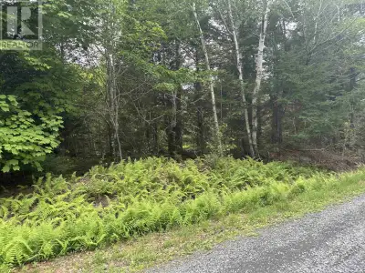 It's not too late to grab a slice of heaven in the middle of cottage country!! This 20,500 sq. ft lo...
