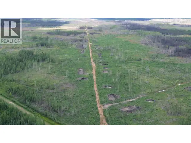 1111 BIRLEY ROAD Buick Creek, British Columbia in Land for Sale in Fort St. John - Image 6