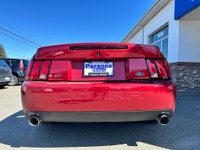 WHY THIS COBRA IS NEXT LEVEL: SVT COBRA TERMINATOR Supercharged, iconic, and getting harder to find... (image 6)