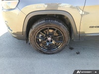 WAS: $34879 NOW: $30498 plus taxes and licensing feesExperience the perfect blend of rugged capabili... (image 6)