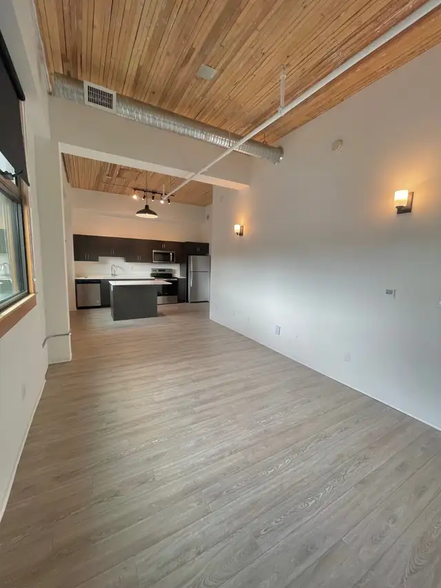 * 1 BEDROOM /  1 BATHROOM / LOFT SUITE /1 YEAR LEASE* in Long Term Rentals in Winnipeg - Image 4