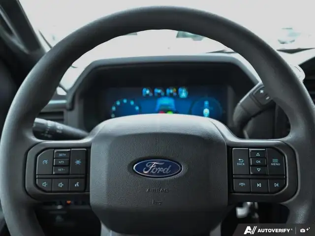 2025 Ford F-150 LOBO in Cars & Trucks in Edmonton - Image 16