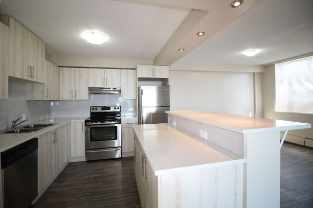 New elevators, new Management, renovated suites. Must see! in Long Term Rentals in Calgary - Image 3