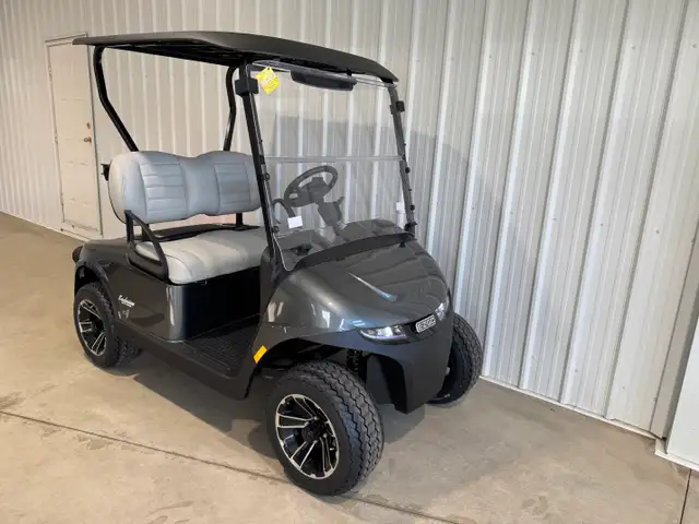 2026 EZGO RXV 2 FREEDOM in ATVs in Vernon - Image 7