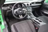 NO ACCIDENT Unleash the thrill of the open road with the 2019 Mustang Ecoboost Coupe. With its bold... (image 7)