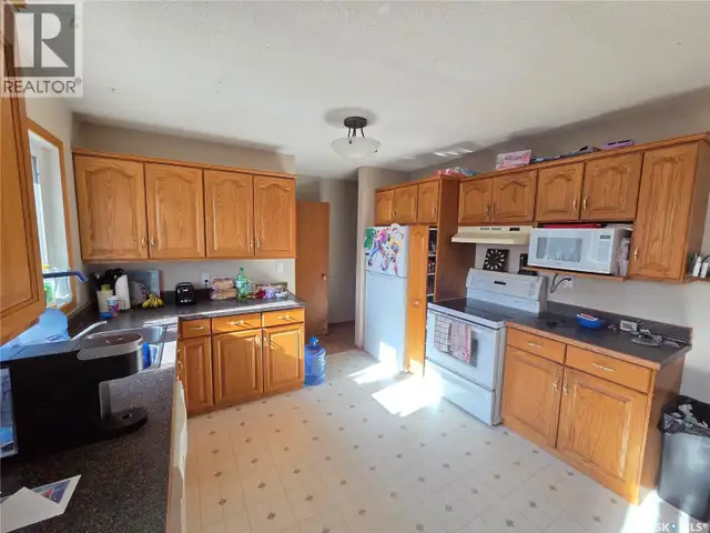 12 Mountain DRIVE Carlyle, Saskatchewan in Houses for Sale in Regina - Image 5