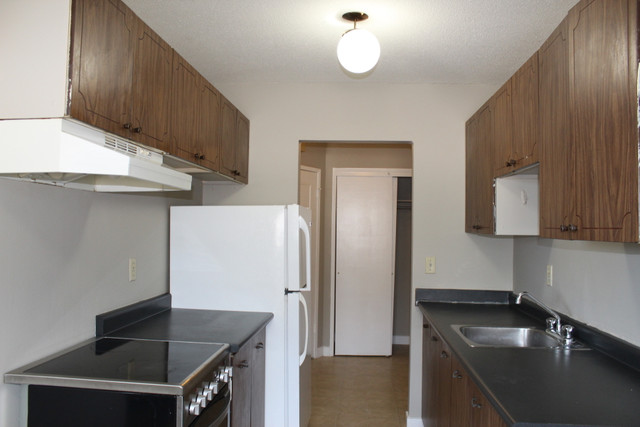 Al Ritchie Apartment For Rent | Froom Apartments in Long Term Rentals in Regina - Image 3