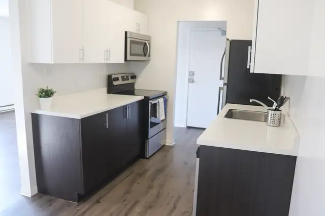 Apartment for Rent at North Murray Street, Downtown Trenton in Long Term Rentals in Trenton - Image 3