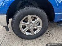Check out this 2025 Ford F-150 XLT while we still have it in stock! *You Can't Beat the Price with T... (image 8)