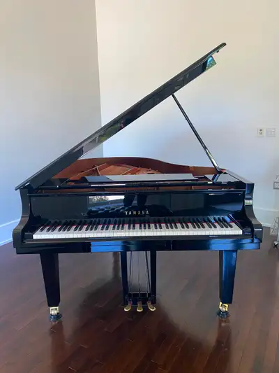 One owner Never moved Like new Purchased in 2019 from D and S Pianos