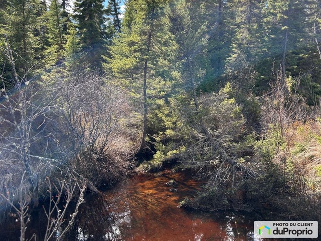 $225,000 - Wood Lot for sale in St-Felicien — photo 3