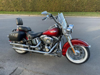 Softail deluxe 2009