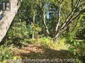 Looking for a fixer upper that needs TLC...this property is for you! With over 2 acres of land to ex...