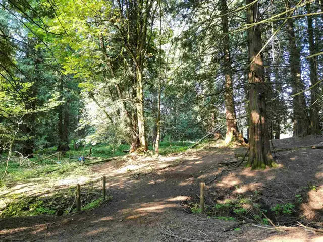 28927 BUCHANAN AVENUE Abbotsford, British Columbia in Land for Sale in Abbotsford - Image 17