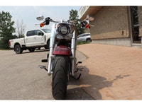 ***FALL PRICING NOW*** MUST SEE, STUNNING LIMITED EDITION (#760 OF 3000 MADE WORLD WIDE) 2023 HARLEY... (image 4)