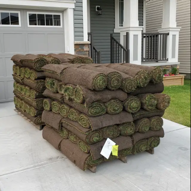 Fresh Cut and Delivered Sod62863264033025121