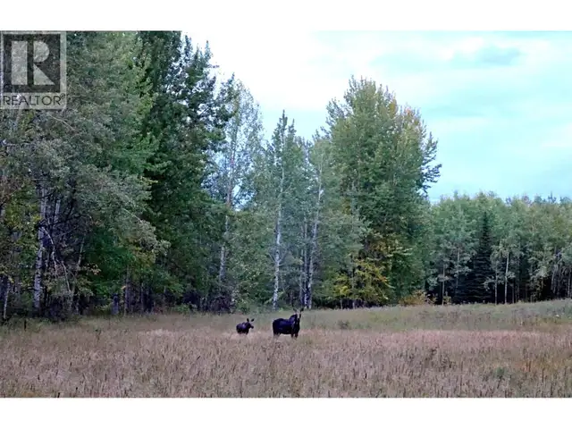 DL5277 DAY ROAD Horsefly, British Columbia in Land for Sale in Williams Lake - Image 19