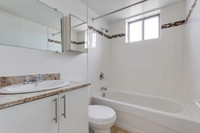 1 Bed, 1 Bath, Newly Renovated Kitchen with Stainless Steel Appliances with Amazing Amenities, Spect... (image 5)