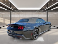 2025 Ford Mustang EcoBoost Sporty, stylish, and built to deliver an exciting driving experience, thi... (image 2)