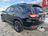 Designed for families who demand both rugged capability and refined comfort, the 2023 Honda Pilot Tr... (image 6)
