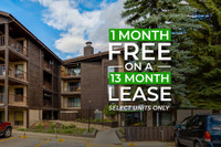 First month free on a 13 month lease! - Cameron County - Apartme