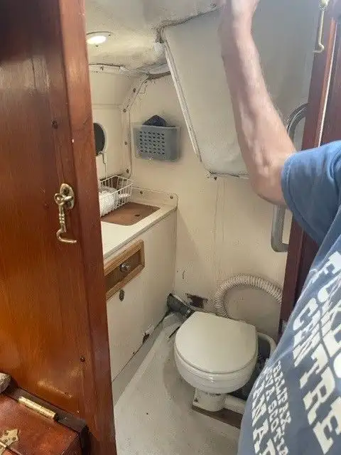 1981 EDEL 820 in Sailboats in Norfolk County - Image 5