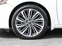 Platinum|AWD|Leather|Navi|Sunroof|Bose|CarPlay 2023 Nissan Altima Platinum Platinum|AWD|Leather|Navi... (image 4)
