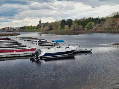 2001 Aquasport 225 Explorer Walkaround ONE OWNER USED TWICE PER SEASON SPOTLESS !!! Cuddy Deep Vee 8...