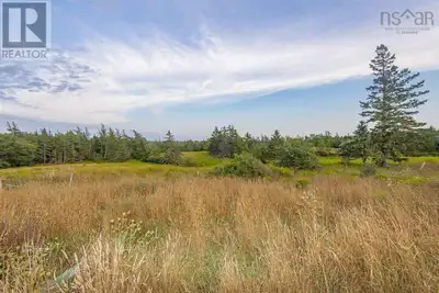 County Road frontage, perfect land for your horses and or livestock. Natural spring fed ponds, beaut...