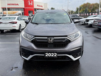 Recent Arrival! Certified. EX-L|AWD|Leather|Sunroof|CarPlay 2022 Honda CR-V EX-L EX-L|AWD|Leather|Su... (image 2)